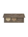 PIERRE RENE Brow Palette cienie do stylizacji brwi 02 Dark Brown 3,9g