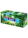 VELVET Nature chusteczki higieniczne 3-warstwowe Box 90szt