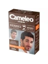 DELIA Cameleo Men odsiwiacz do włosów naturalnych w odcieniu brązu 2x8g