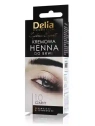 DELIA Henna do brwi 1.0 Czarny 2x5ml