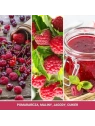 YANKEE CANDLE Signature Średnia świeca w słoiku RED RASPBERRY 368g