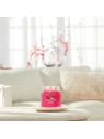 YANKEE CANDLE Signature Średnia świeca w słoiku RED RASPBERRY 368g