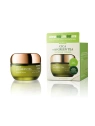 SKIN627 Cica With Green Tea krem do twarzy kojąco-nawilżający 50g