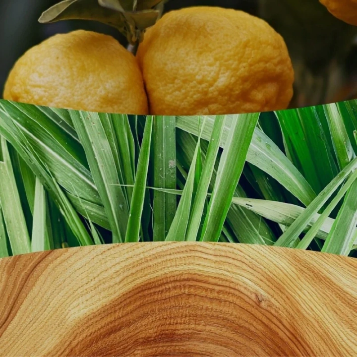 WOODWICK Pluswick duża świeca w słoiku YUZU & VETIVER 609,5g