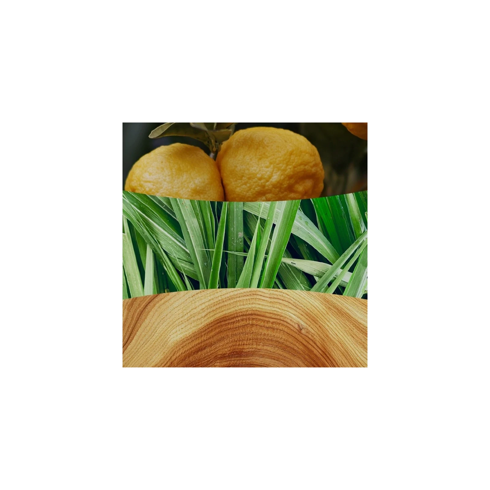 WOODWICK Pluswick duża świeca w słoiku YUZU & VETIVER 609,5g