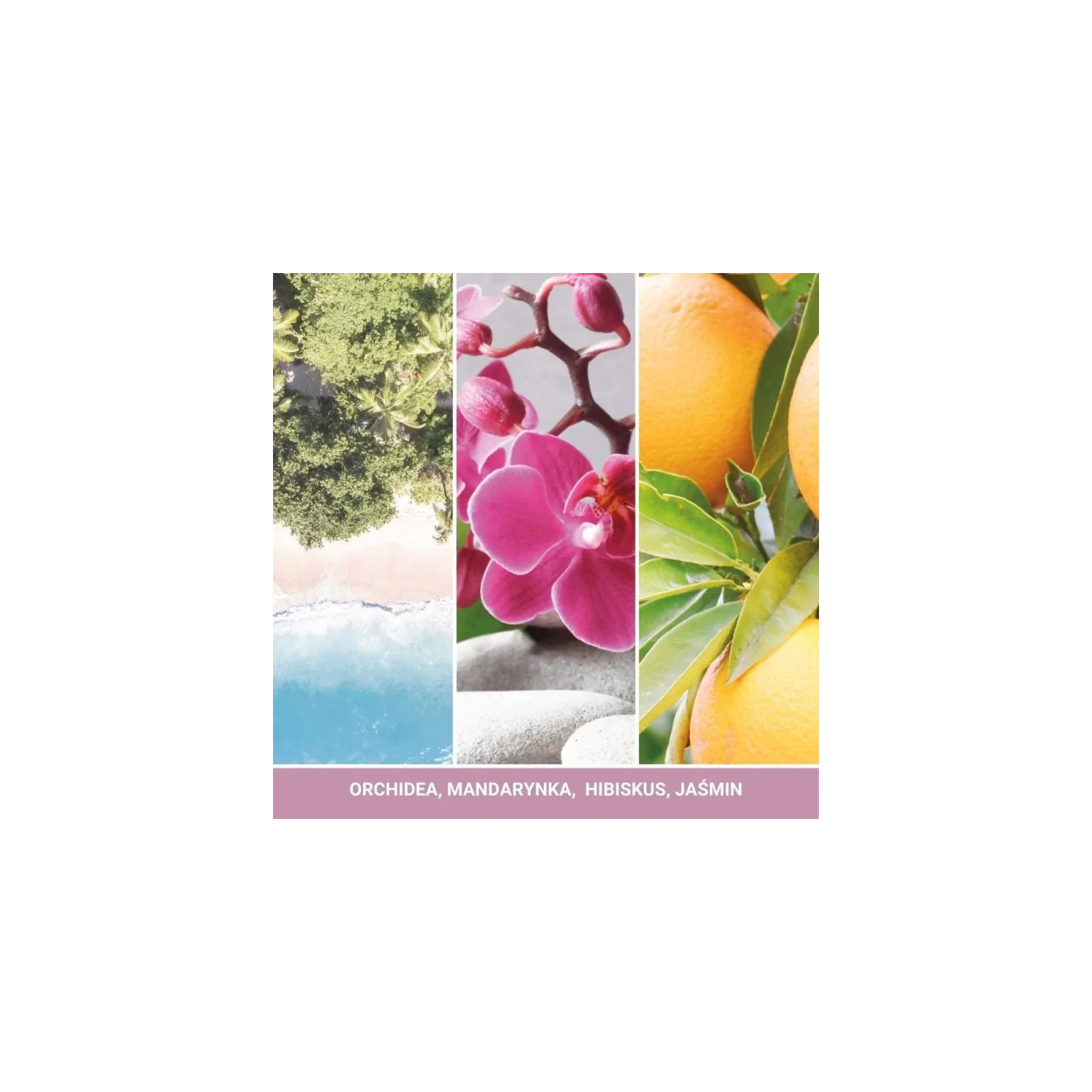 YANKEE CANDLE Signature Średnia świeca w słoiku WILD ORCHID 368g