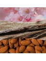 WOODWICK Pluswick Mała mała świeca w słoiku CHERRY BLOSSOM & VANILLA 85g