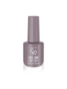 GOLDEN ROSE Color Expert lakier do paznokci 108 10,2ml