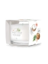 YANKEE CANDLE Signature Mini świeca w słoiku COCONUT BEACH 37g