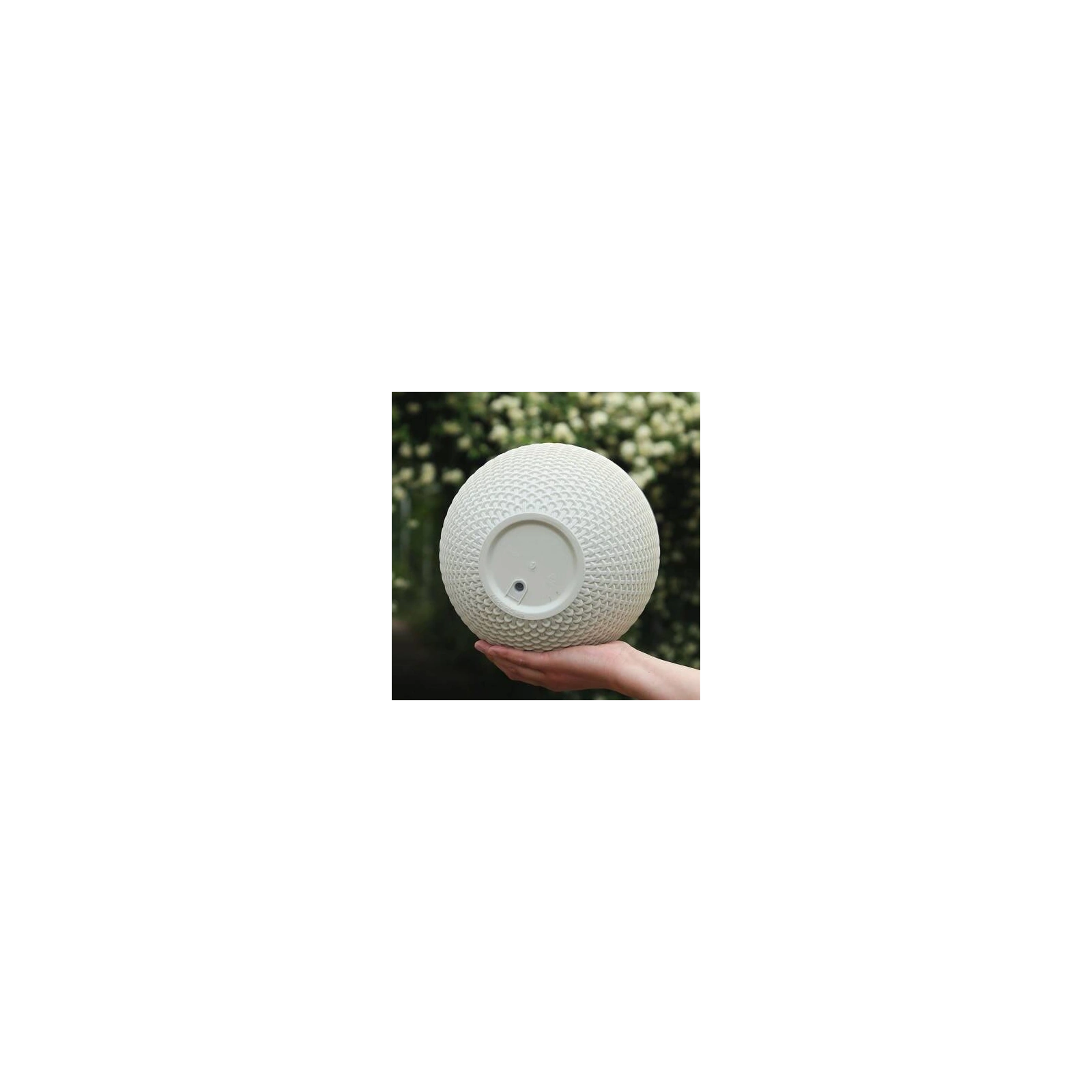 ECARLA doniczka na kwiaty wisząca Kremowa Plaster Miodu 26cm ROS10K