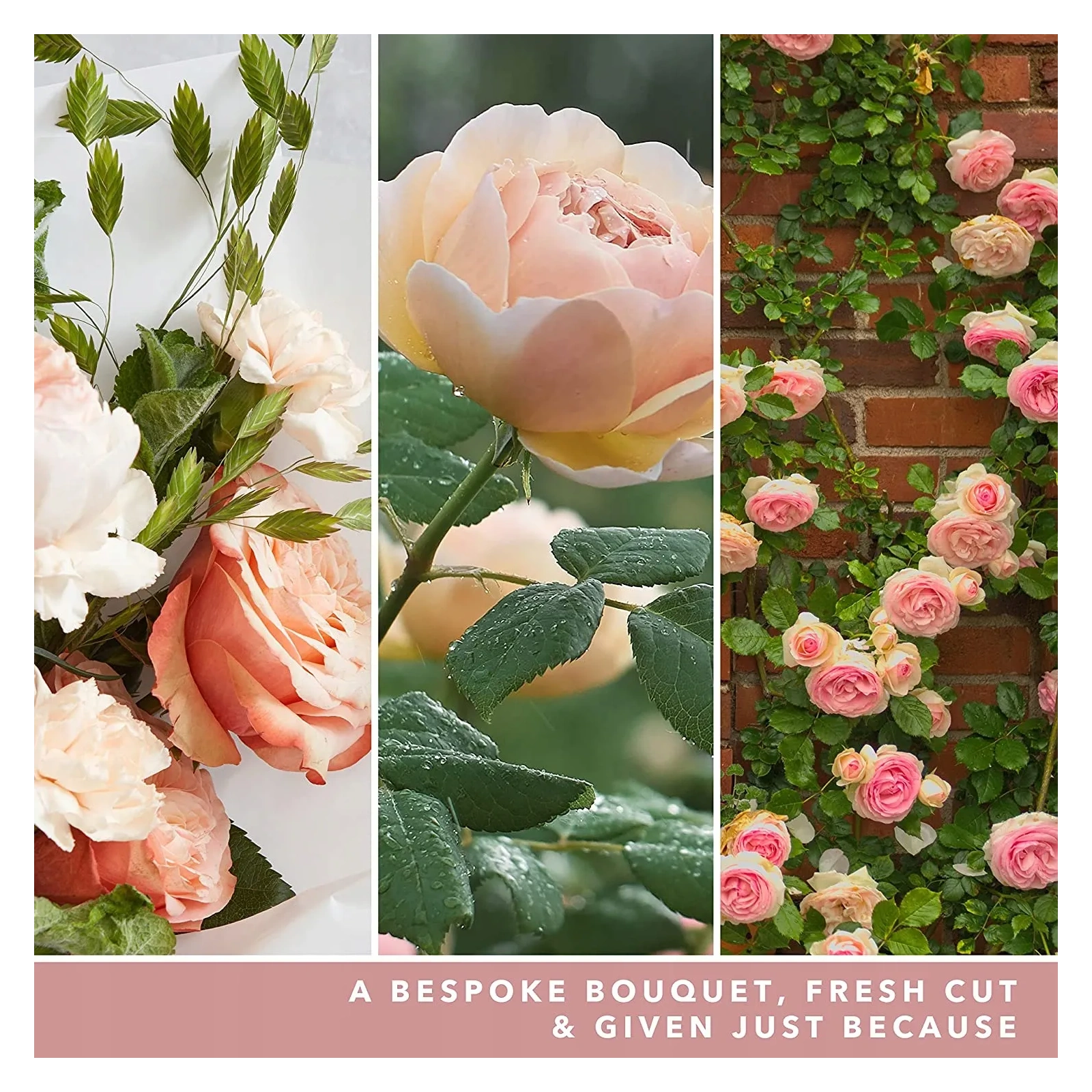 YANKEE CANDLE Signature Duża świeca w słoiku FRESH CUT ROSES 567g