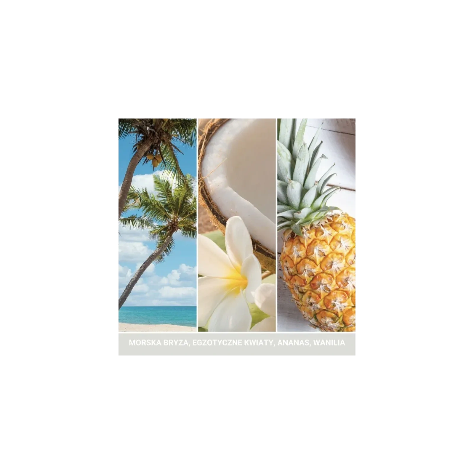 YANKEE CANDLE Signature Duża świeca w słoiku COCONUT BEACH 567g