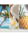 YANKEE CANDLE Signature Duża świeca w słoiku COCONUT BEACH 567g