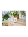 YANKEE CANDLE Signature Duża świeca w słoiku COCONUT BEACH 567g