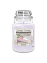YANKEE CANDLE Home Inspiration Duża świeca w słoiku PATISSERIE TREAT 538g