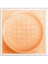MAYBELLINE Fit Me Loose Powder puder do twarzy sypki 03 Banana 15g