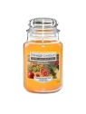 YANKEE CANDLE Home Inspiration Duża świeca w słoiku EXOTIC FRUITS 538g
