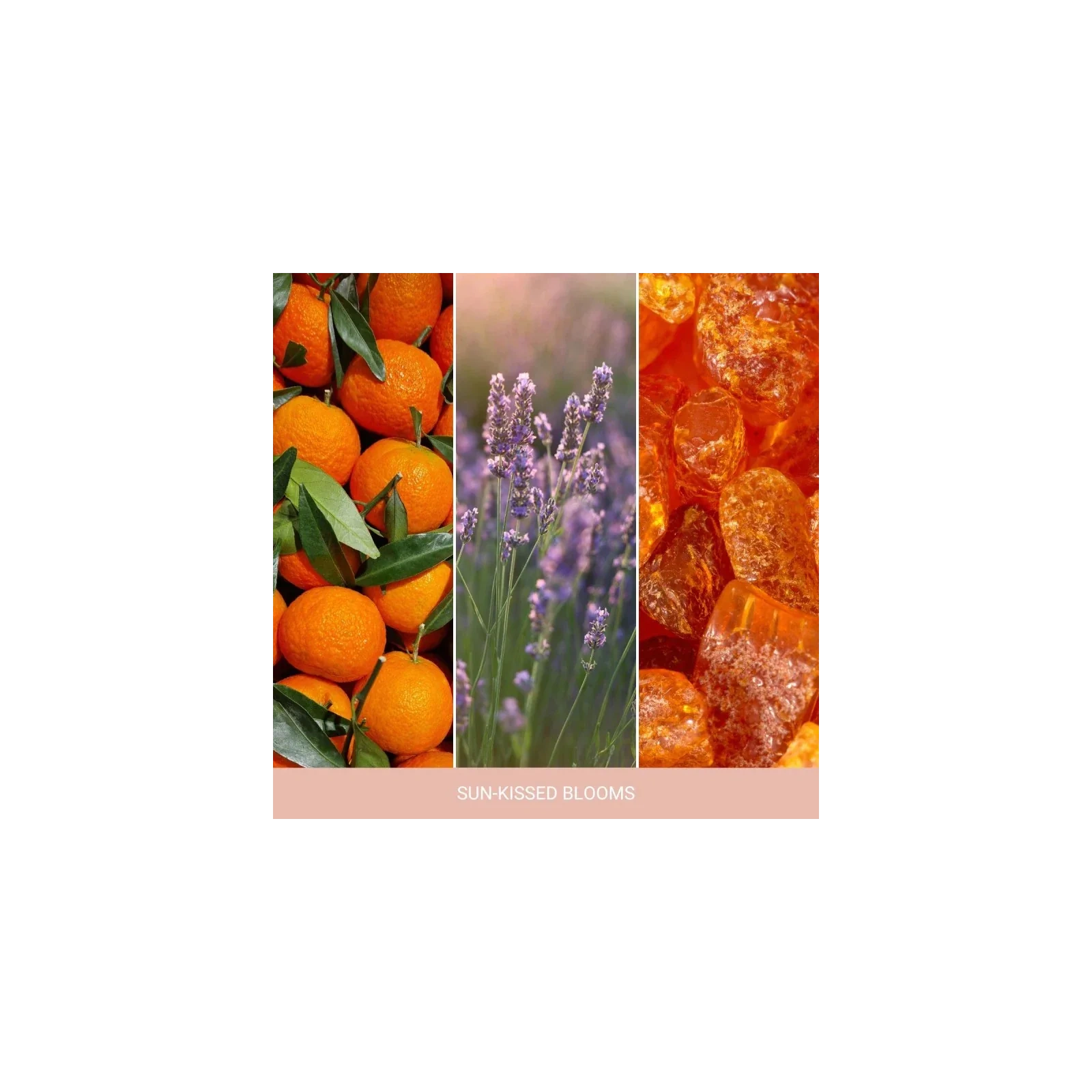 YANKEE CANDLE Home Inspiration Średnia świeca w słoiku SUN-KISSED BLOOMS 340g