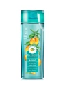 LIRENE Shower Olive żel + oliwka pod prysznic Oliwka z Mango 250ml