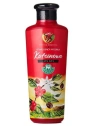 HERBARIA Banfi Kofeinowa wcierka Żeń-szeń 250ml