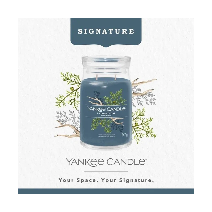 YANKEE CANDLE Signature Duża świeca w słoiku BAYSIDE CEDAR 567g