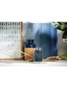 YANKEE CANDLE Signature Duża świeca w słoiku BAYSIDE CEDAR 567g