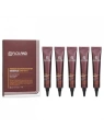 FLOLAND PROFESSIONAL Premium Silk Keratin esencja do włosów mocno zniszczonych 5x20ml
