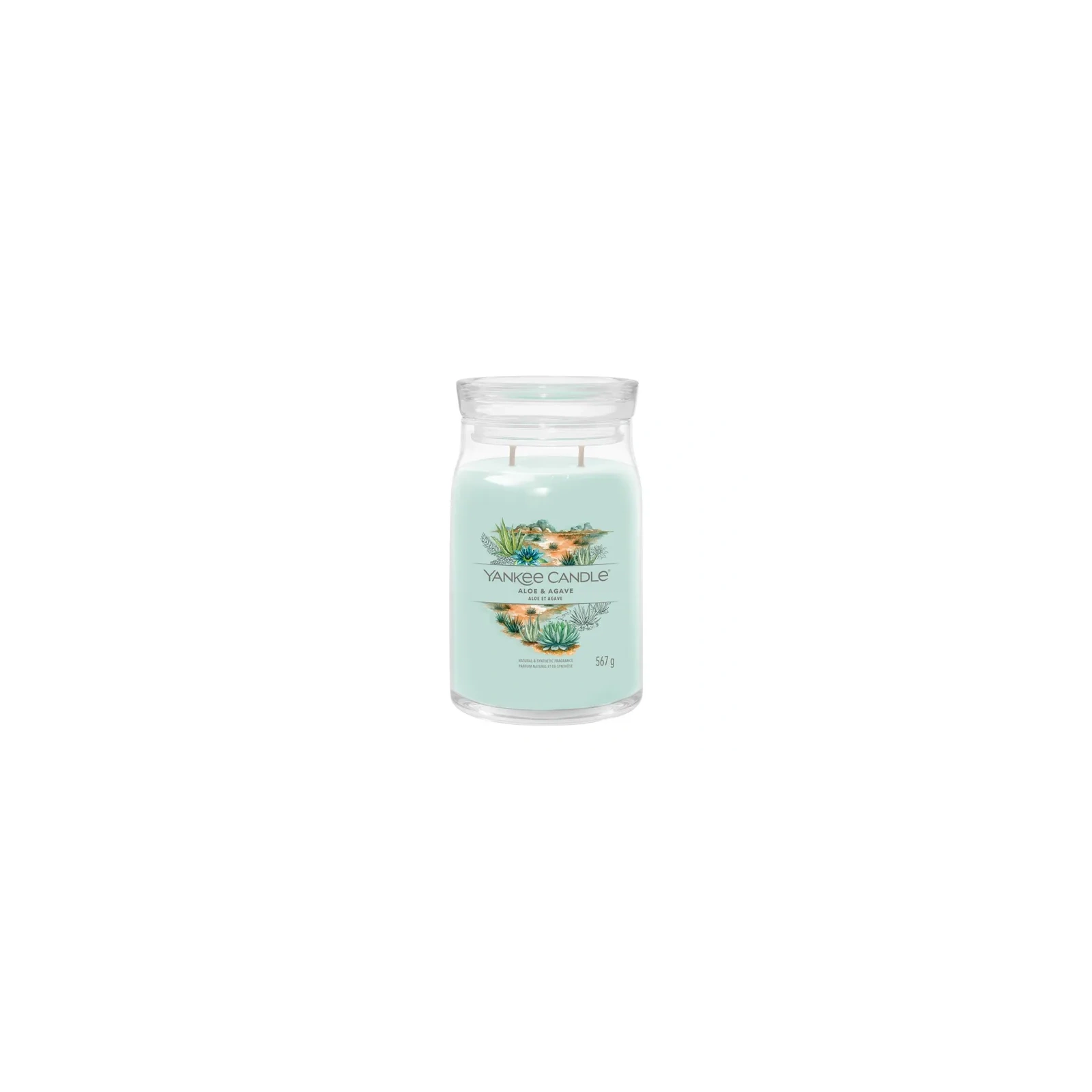 YANKEE CANDLE Signature Duża świeca w słoiku ALOE & AGAVE 567g