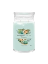 YANKEE CANDLE Signature Duża świeca w słoiku ALOE & AGAVE 567g