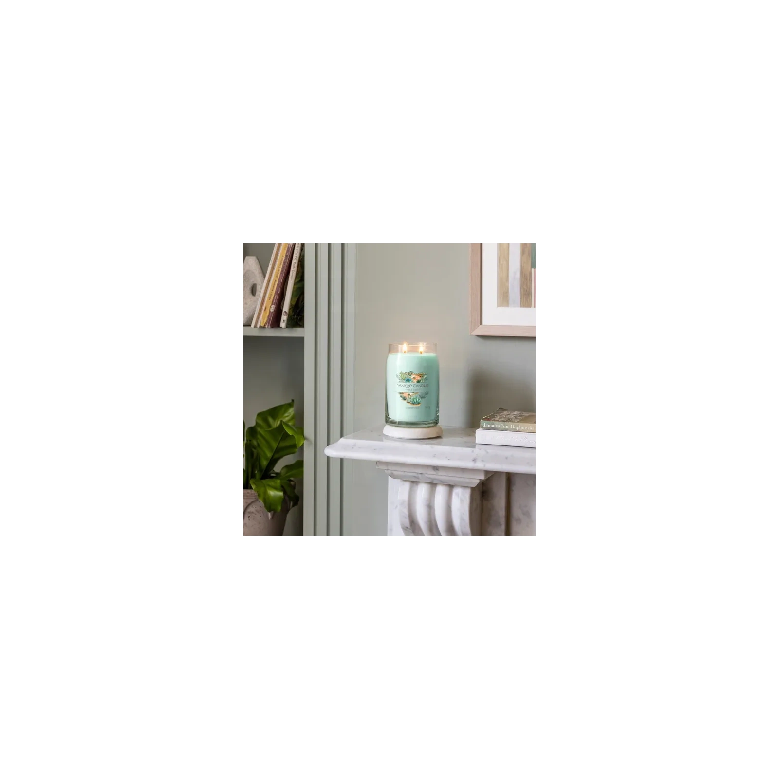 YANKEE CANDLE Signature Duża świeca w słoiku ALOE & AGAVE 567g