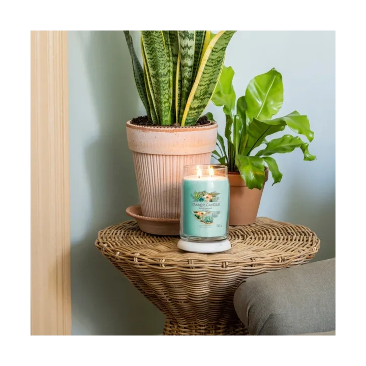 YANKEE CANDLE Signature Duża świeca w słoiku ALOE & AGAVE 567g