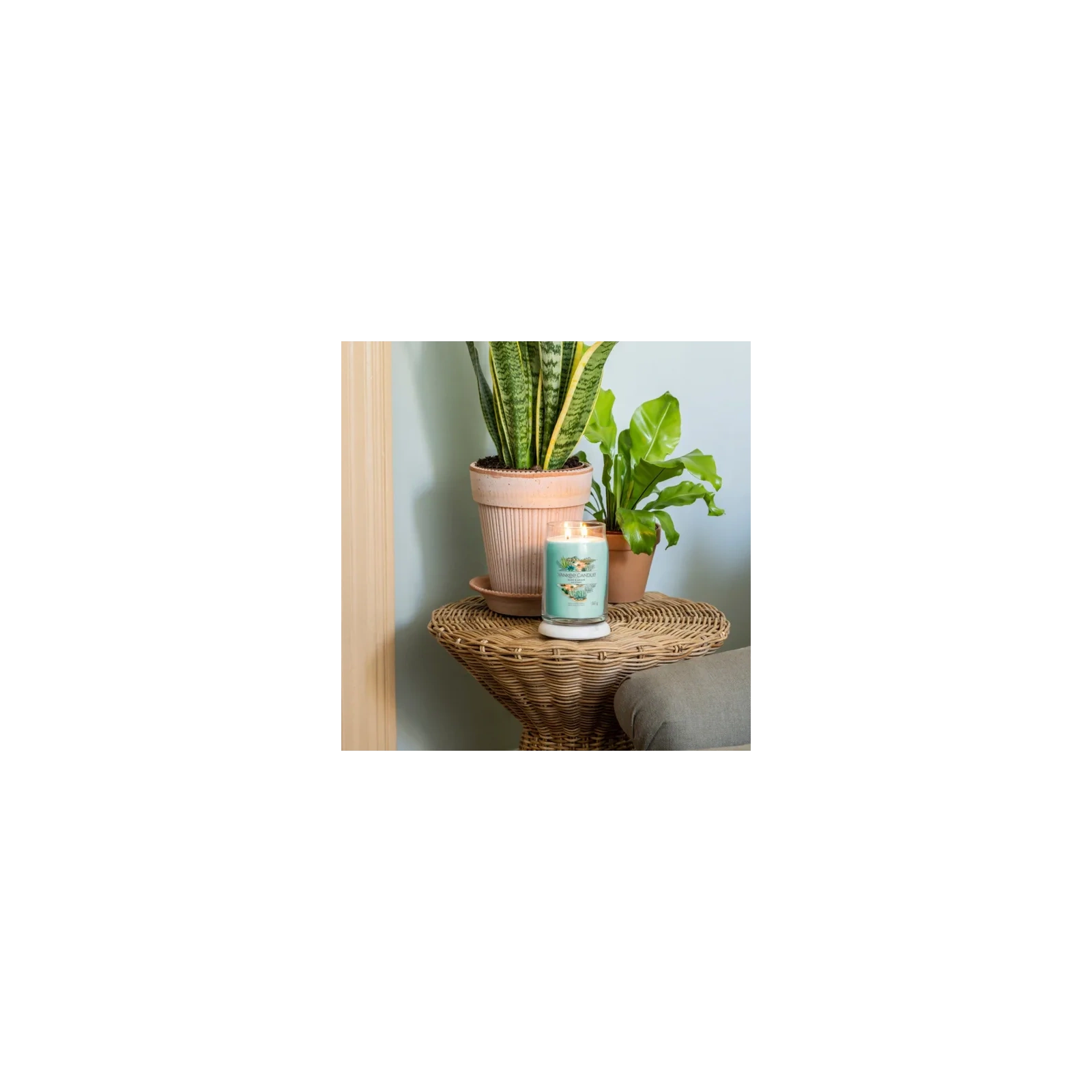 YANKEE CANDLE Signature Duża świeca w słoiku ALOE & AGAVE 567g