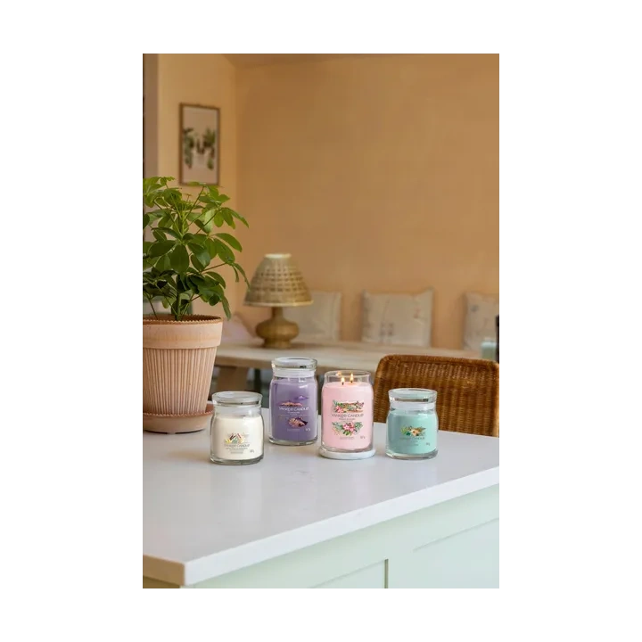 YANKEE CANDLE Signature Duża świeca w słoiku ALOE & AGAVE 567g