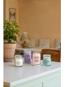 YANKEE CANDLE Signature Duża świeca w słoiku ALOE & AGAVE 567g