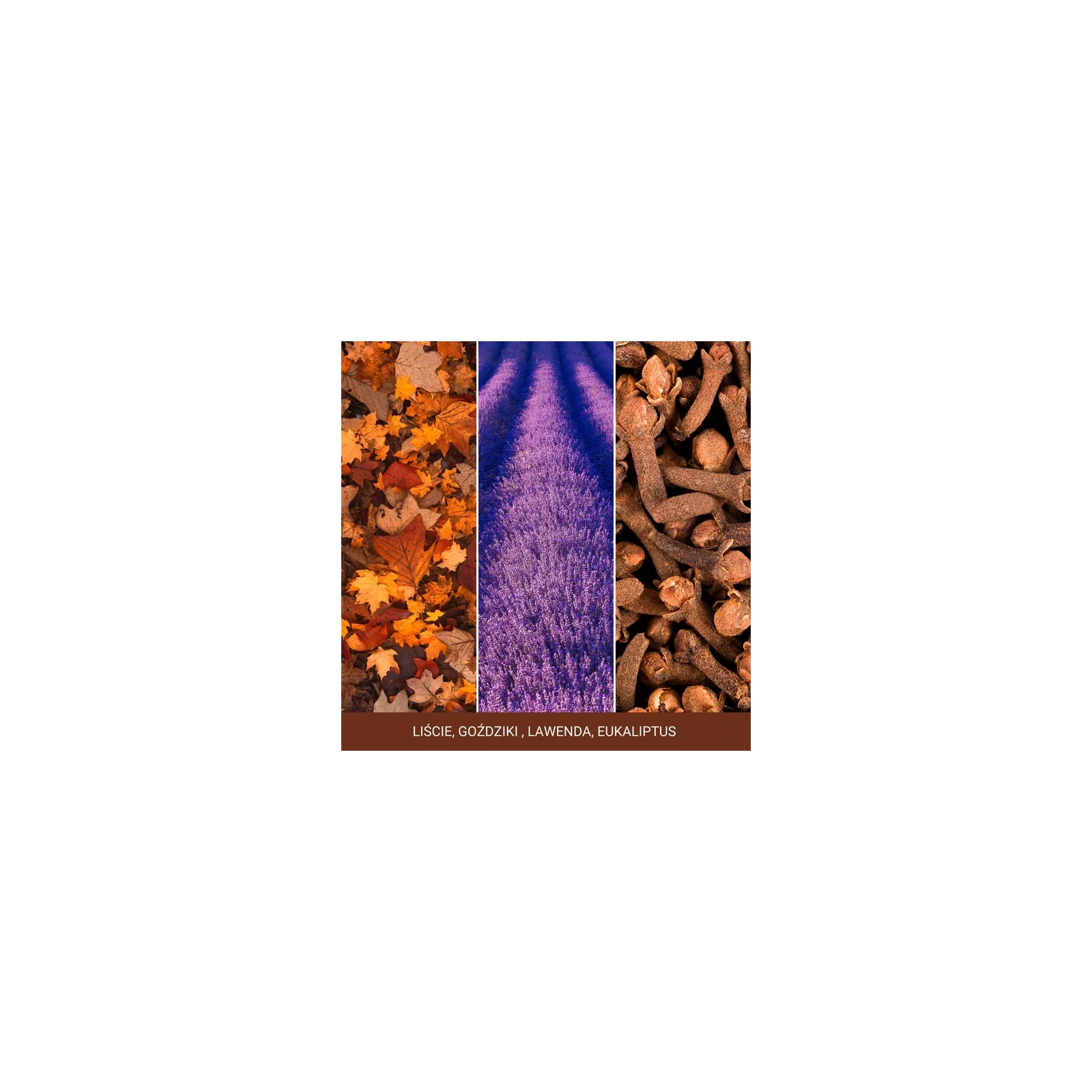YANKEE CANDLE Signature Duża świeca w słoiku AUTUMN DAYDREAM 567g
