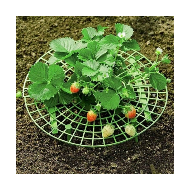 ECARLA stojak do uprawy roślin podpora na truskawki 30cm ROS20