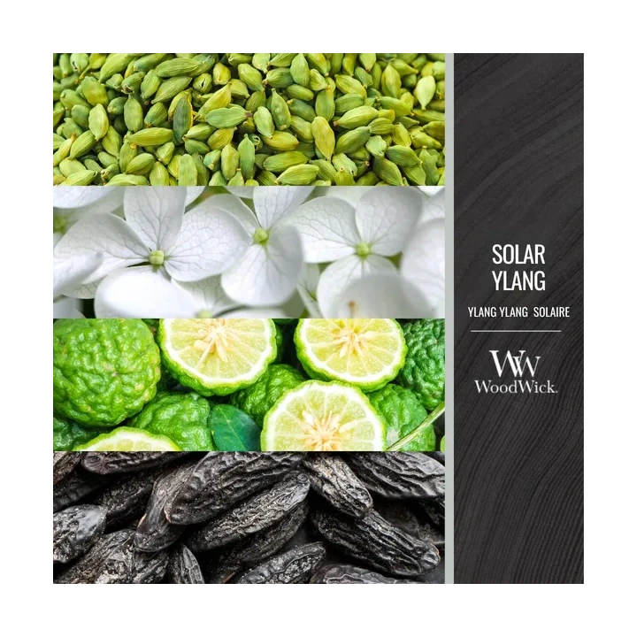 WOODWICK PlusWick średnia świeca w słoiku SOLAR YLANG 275g