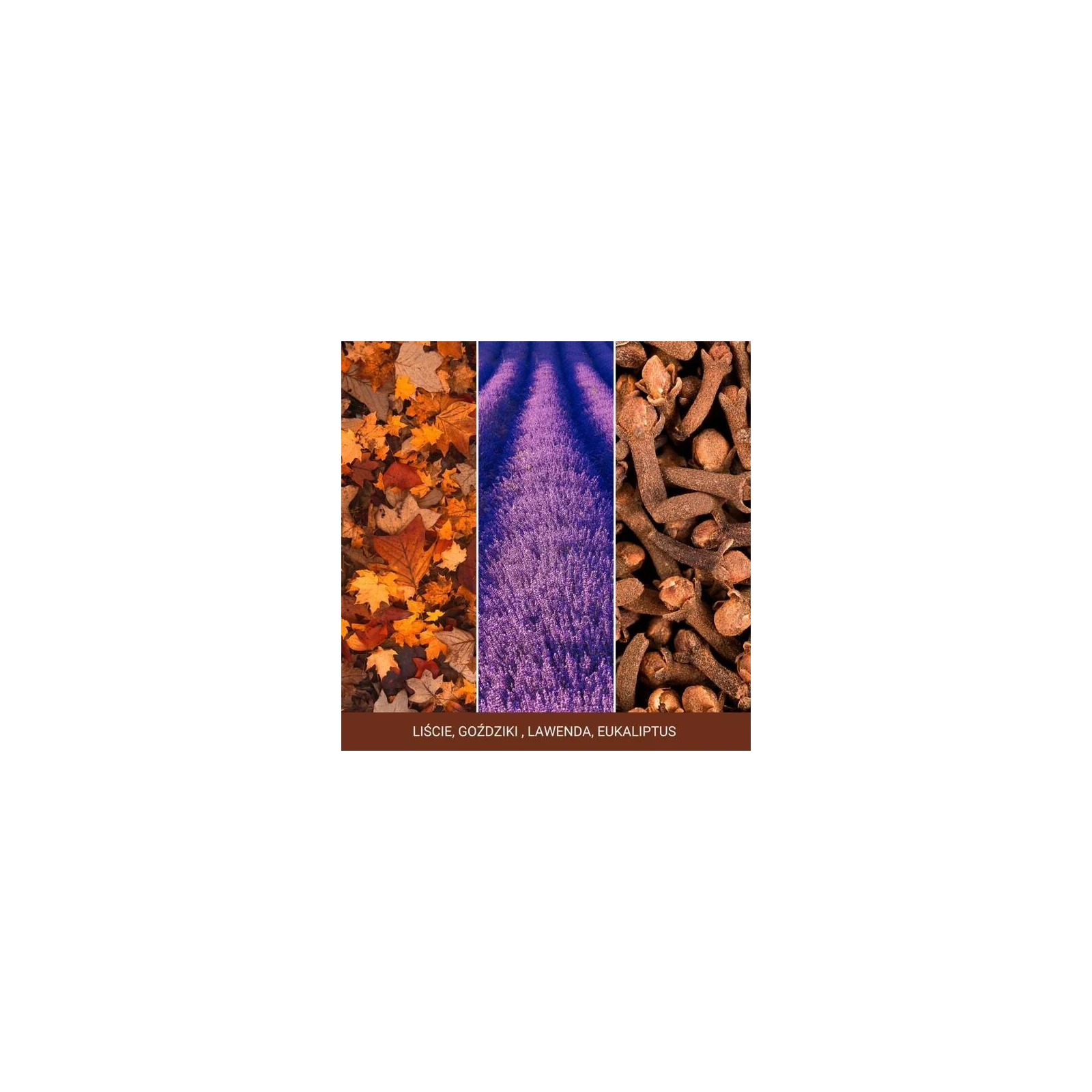 YANKEE CANDLE Signature Mini świeca w słoiku AUTUMN DAYDREAM 37g 