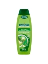 PALMOLIVE Naturals aloesowy szampon do włosów normalnych Silky Shine 350ml