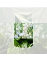 YANKEE CANDLE Signature Mała świeca w słoiku CLEAN COTTON® 110g