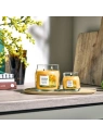 YANKEE CANDLE Signature Mała świeca w słoiku STARFRUIT & SUNSHINE 110g