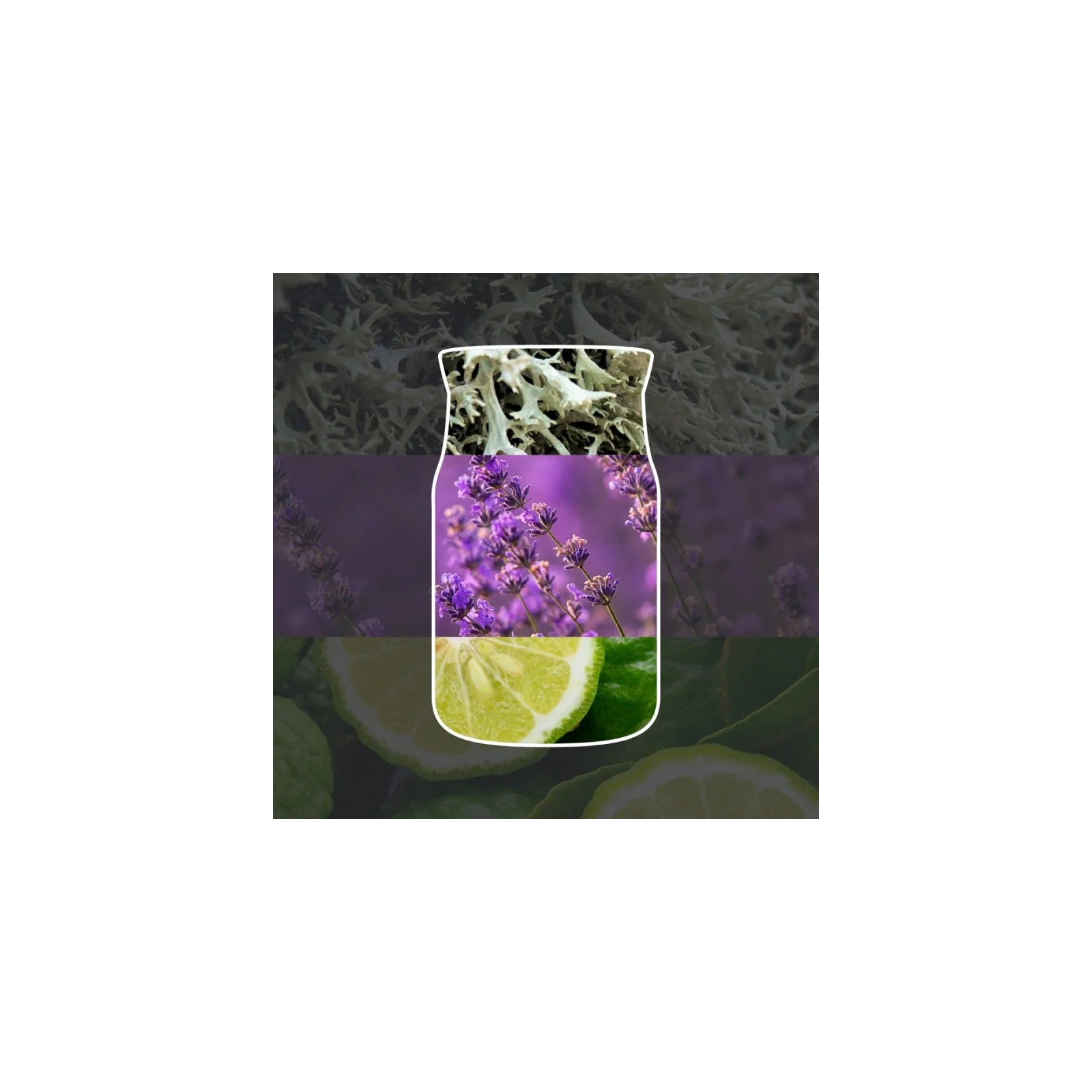 YANKEE CANDLE Signature Mała świeca w słoiku MIDSUMMER'S NIGHT® 110g