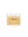 YANKEE CANDLE Signature Mini świeca w słoiku GLISTENING LEAVES 37g