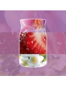 YANKEE CANDLE Reed Diffuser New pałeczki zapachowe WILD ORCHID 100ml