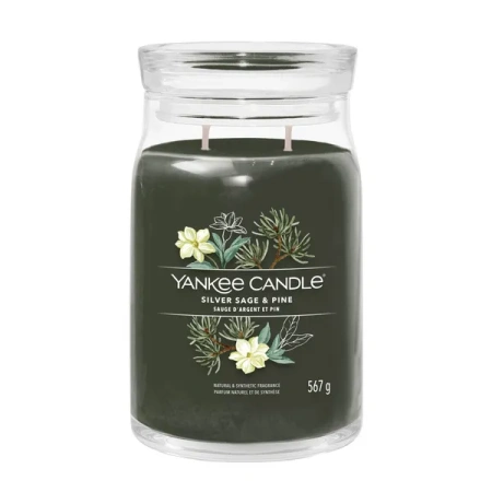 YANKEE CANDLE Signature Duża świeca w słoiku SILVER SAGE & PINE 567g