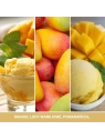 YANKEE CANDLE Classic Wax wosk zapachowy MANGO ICE CREAM 22g