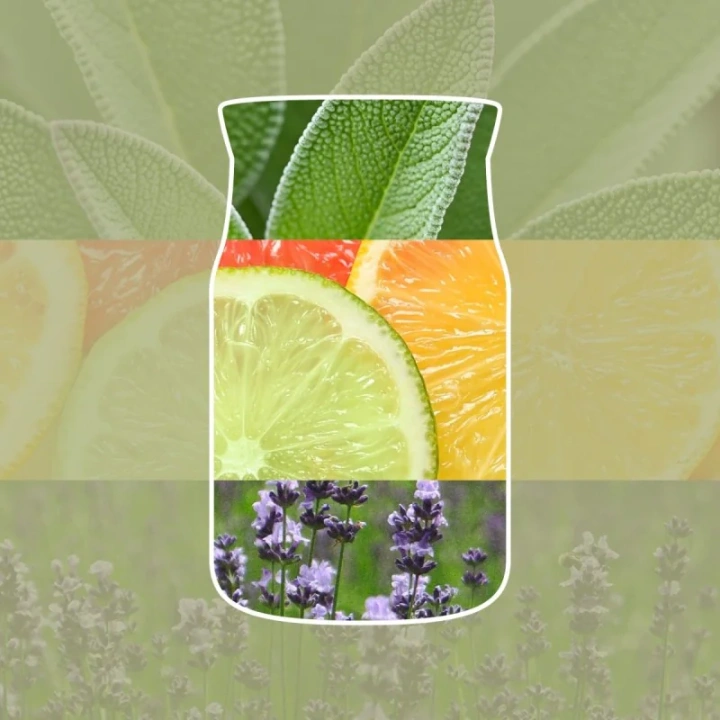 YANKEE CANDLE Reed Diffuser New pałeczki zapachowe SAGE & CITRUS 100ml