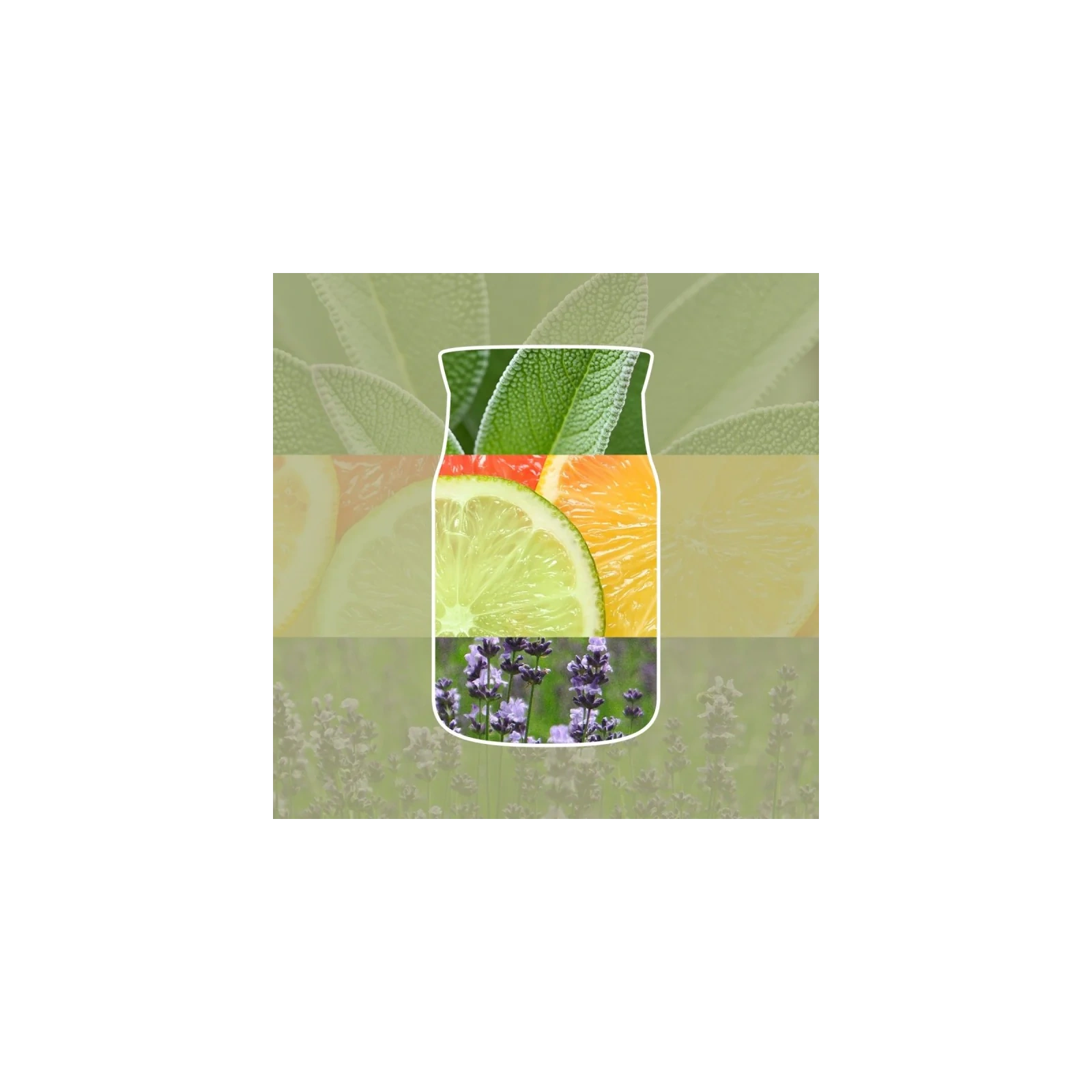 YANKEE CANDLE Reed Diffuser New pałeczki zapachowe SAGE & CITRUS 100ml