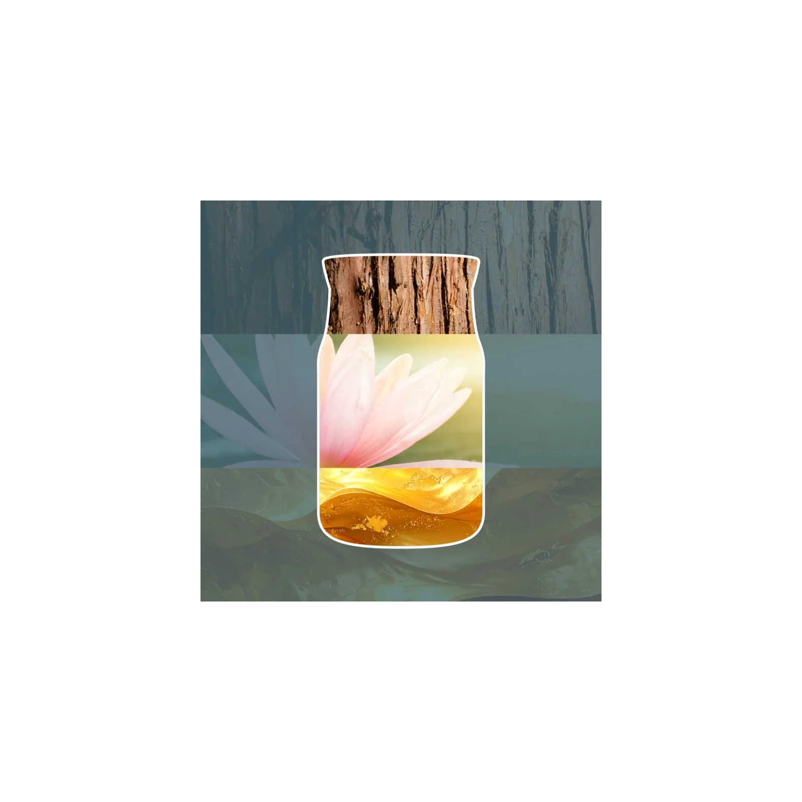 YANKEE CANDLE Reed Diffuser New pałeczki zapachowe BAYSIDE CEDAR 100ml