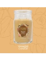 YANKEE CANDLE Signature Duża świeca w słoiku GLISTENING LEAVES 567g